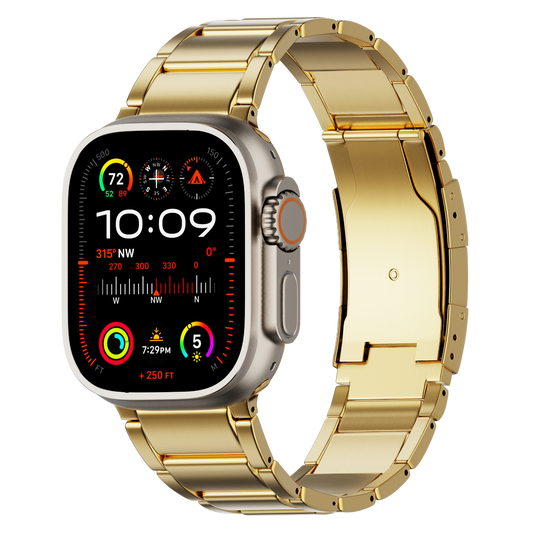 TITANIUM LINK BAND LUX913