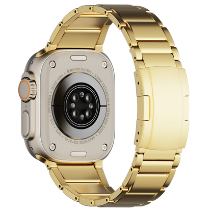 TITANIUM LINK BAND LUX913